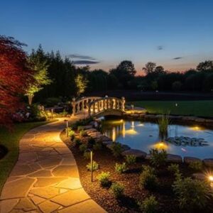 Placement Strategies for a Beautiful Nighttime Look
