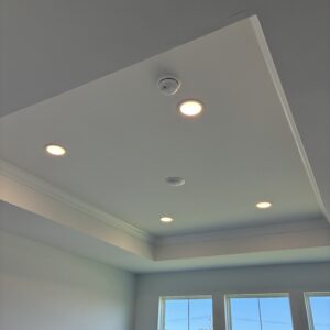 Ceiling view featuring recessed lights and a smoke detector, with large windows showcasing a scenic outdoor landscape.